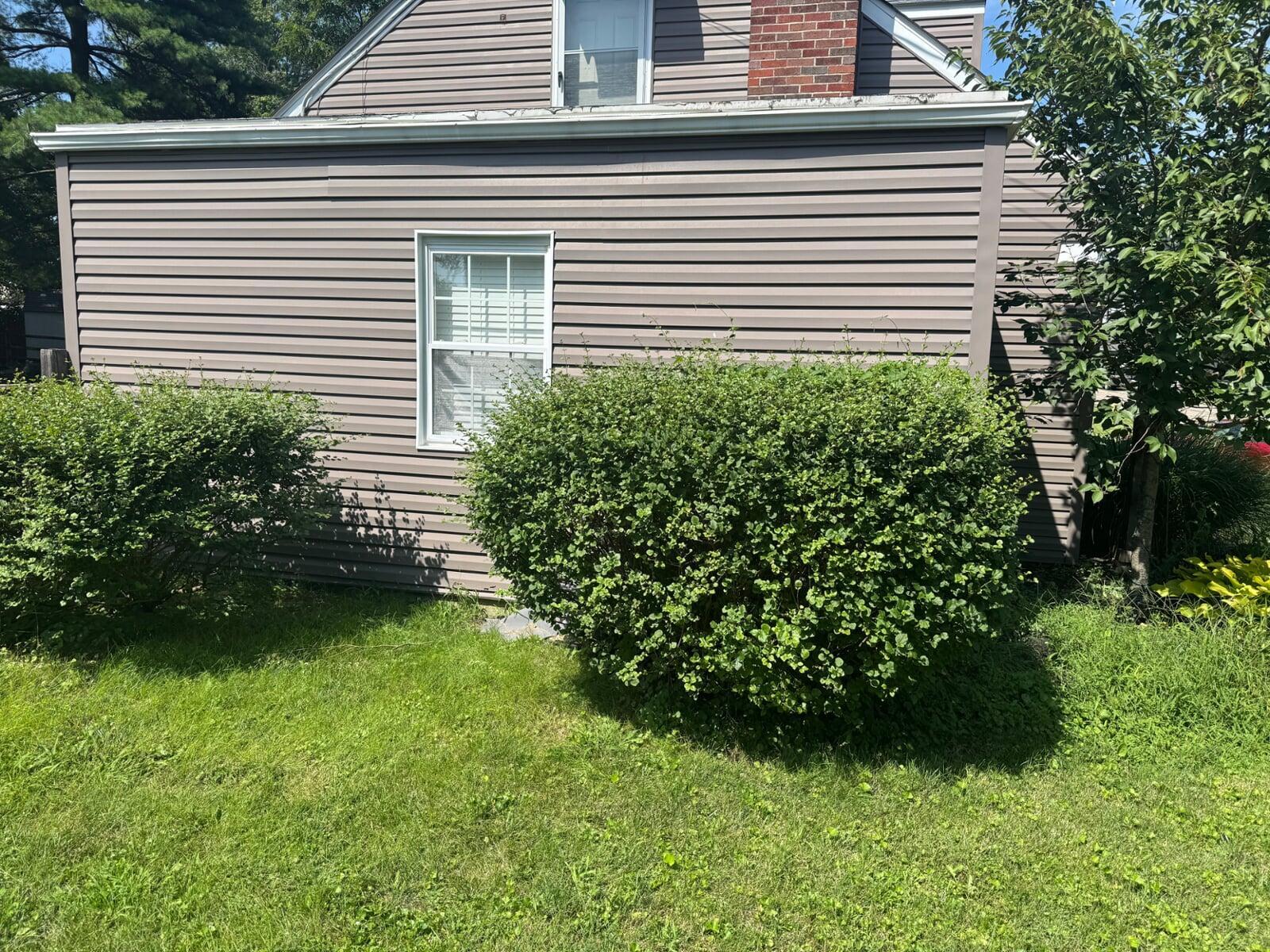 South West Trimming